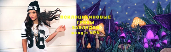 прущие крисы Алексеевка