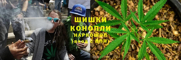 сатива Алзамай