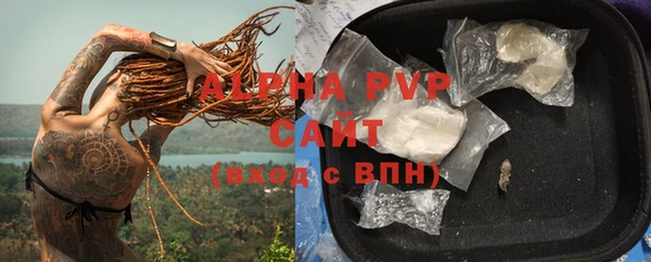 индика Россошь