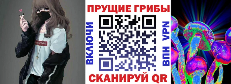 Галлюциногенные грибы мицелий  мега зеркало  Зеленогорск  купить  сайты 