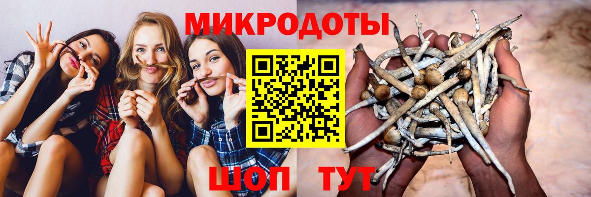 Зеленогорск  Псилоцибиновые грибы Magic Shrooms  Вход с VPN 