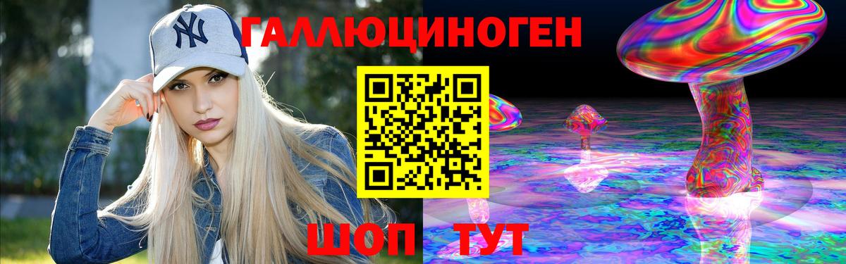 Галлюциногенные грибы Psilocybine cubensis Зеленогорск