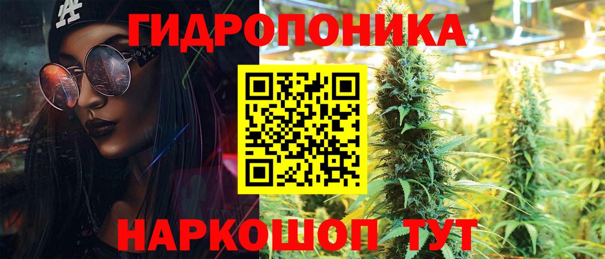 Бошки марихуана MAZAR  Конопля индика  Вход с VPN  Конопля семена  Бошки Шишки план  Зеленогорск 